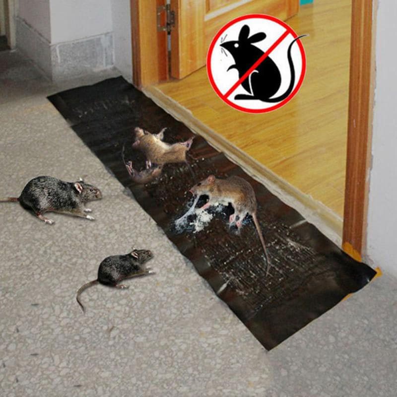 Bundle of 2 Rat Killing Magic Carpets Rodents Moles Trap Rat Mice Trap Clear Invisible Mouse Glue Trap Large